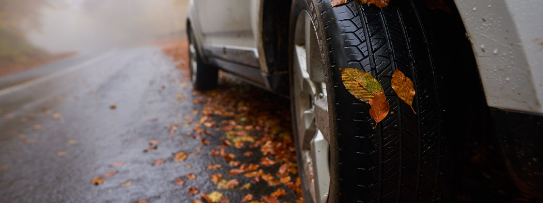 close up of tire with wet fall leaves